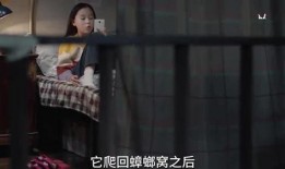 神秘人爆料小六视频,小六视频背后的惊人真相